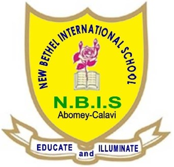 NBIS Logo